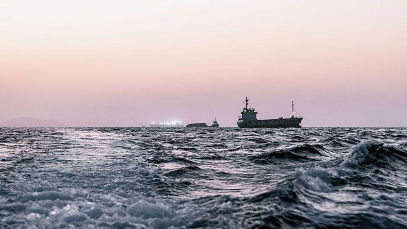 Hürmüz Boğazı'ndaki gemiler 'biyolojik istilaya yol açabilir'